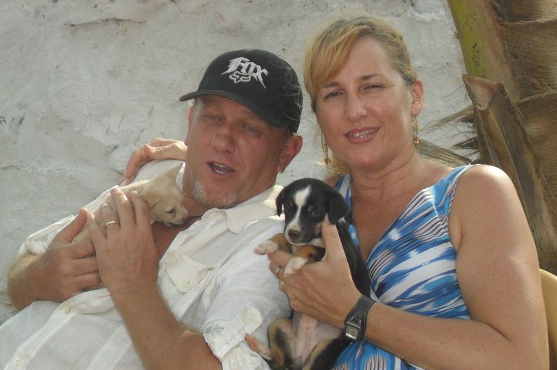 رعاية حيوانات الشوارع: هؤلاء ينفقون ملايين الدولارات لصالحهم