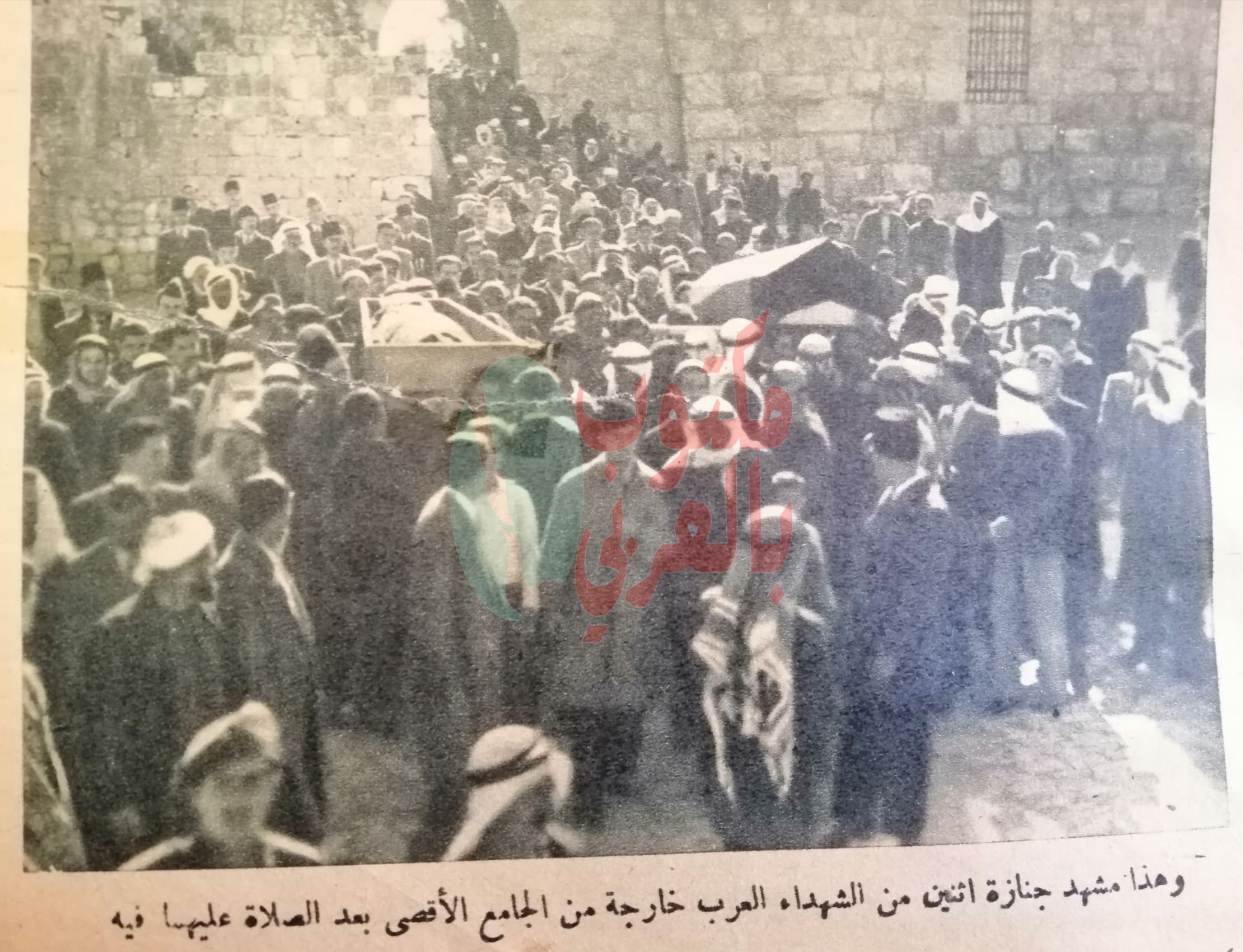 ستات في الجيش المصري